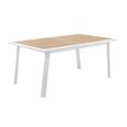 Conjunto Pavanne+Axiome. Mesa 10 plazas